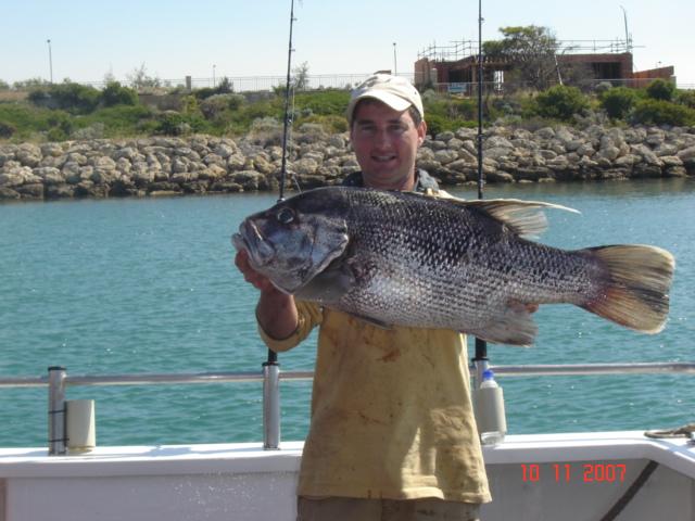 13 KG of Dhufish, first good dhuie